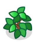 File:Blueberry stage 4.png