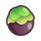 Palm Fruit