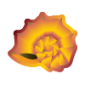 Golden Glow Ammonite